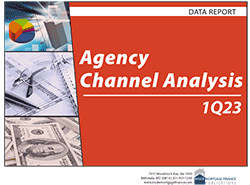 Agency Channel Analysis cover image