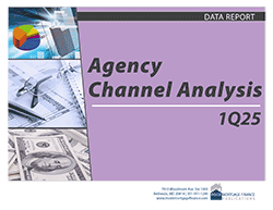 Agency Channel Analysis cover image